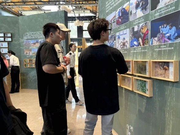 图片4.jpg