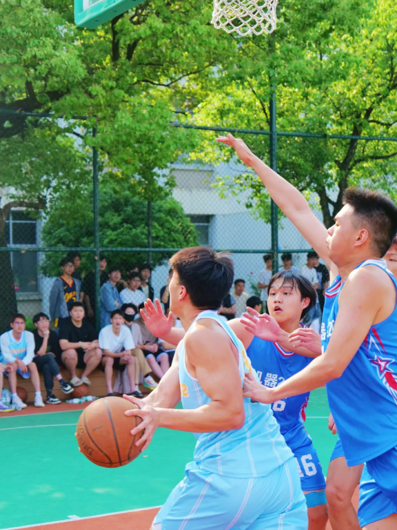 图片24.png